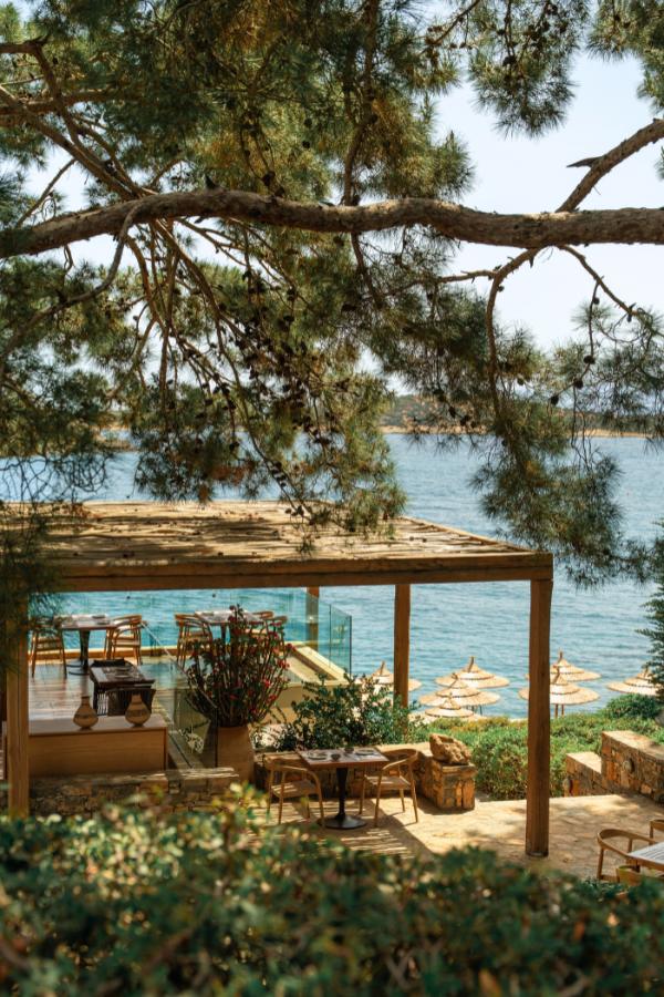 Terpsis Restaurant Overview