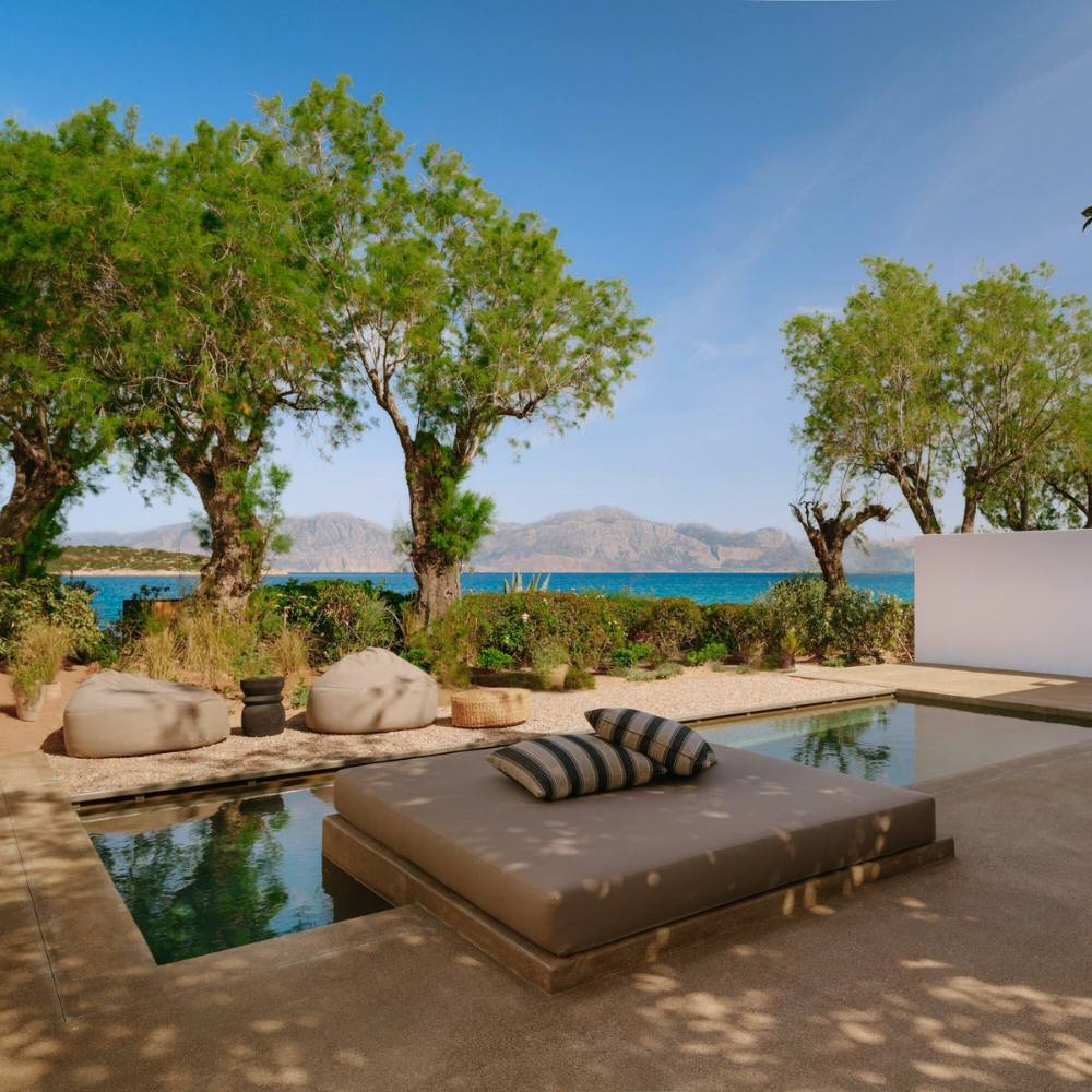 Black Friday Limited-Time Offer